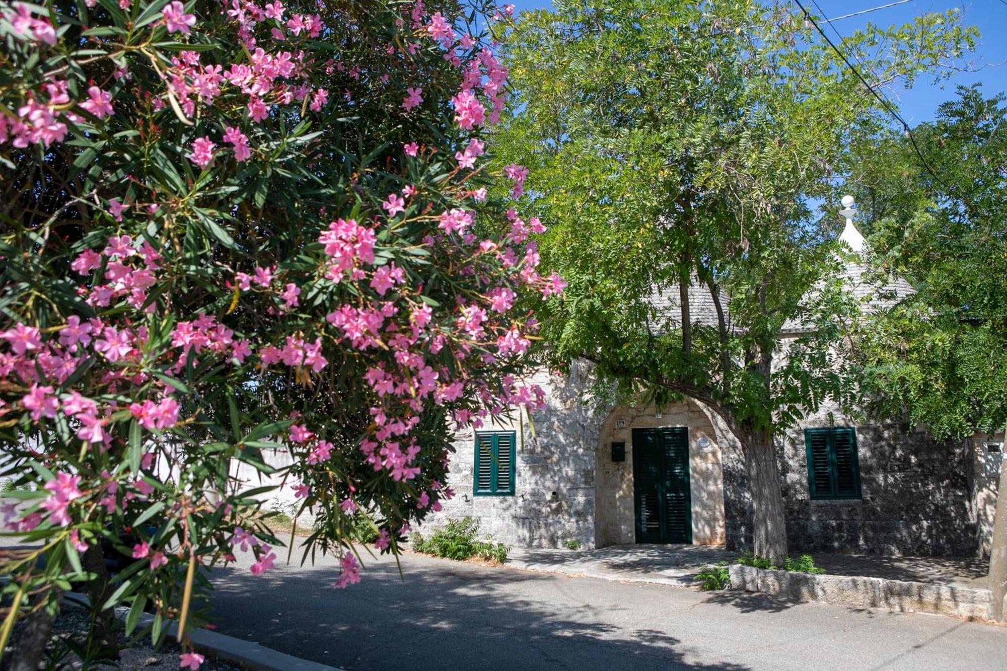 Angolo Di Puglia ロコロトンド エクステリア 写真